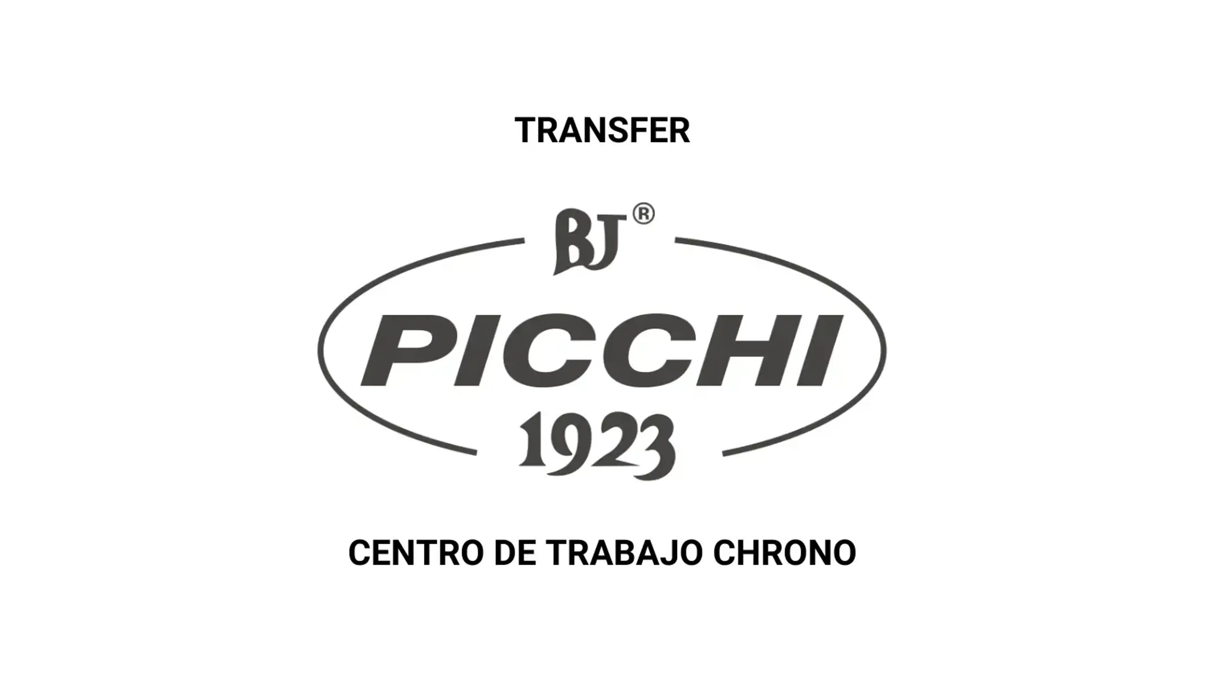 picchi-transfer-logo-esp