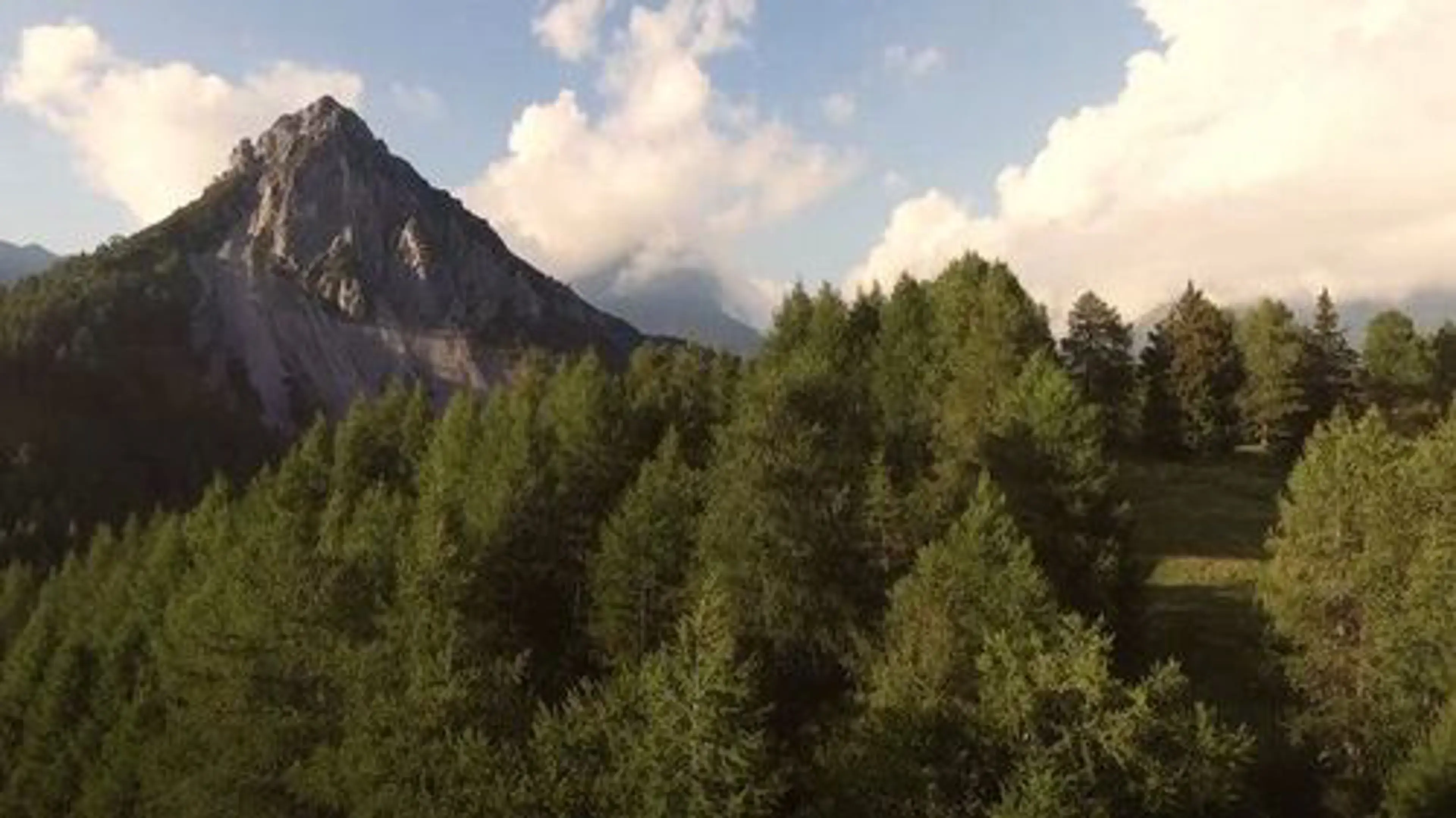 picchi-green-video